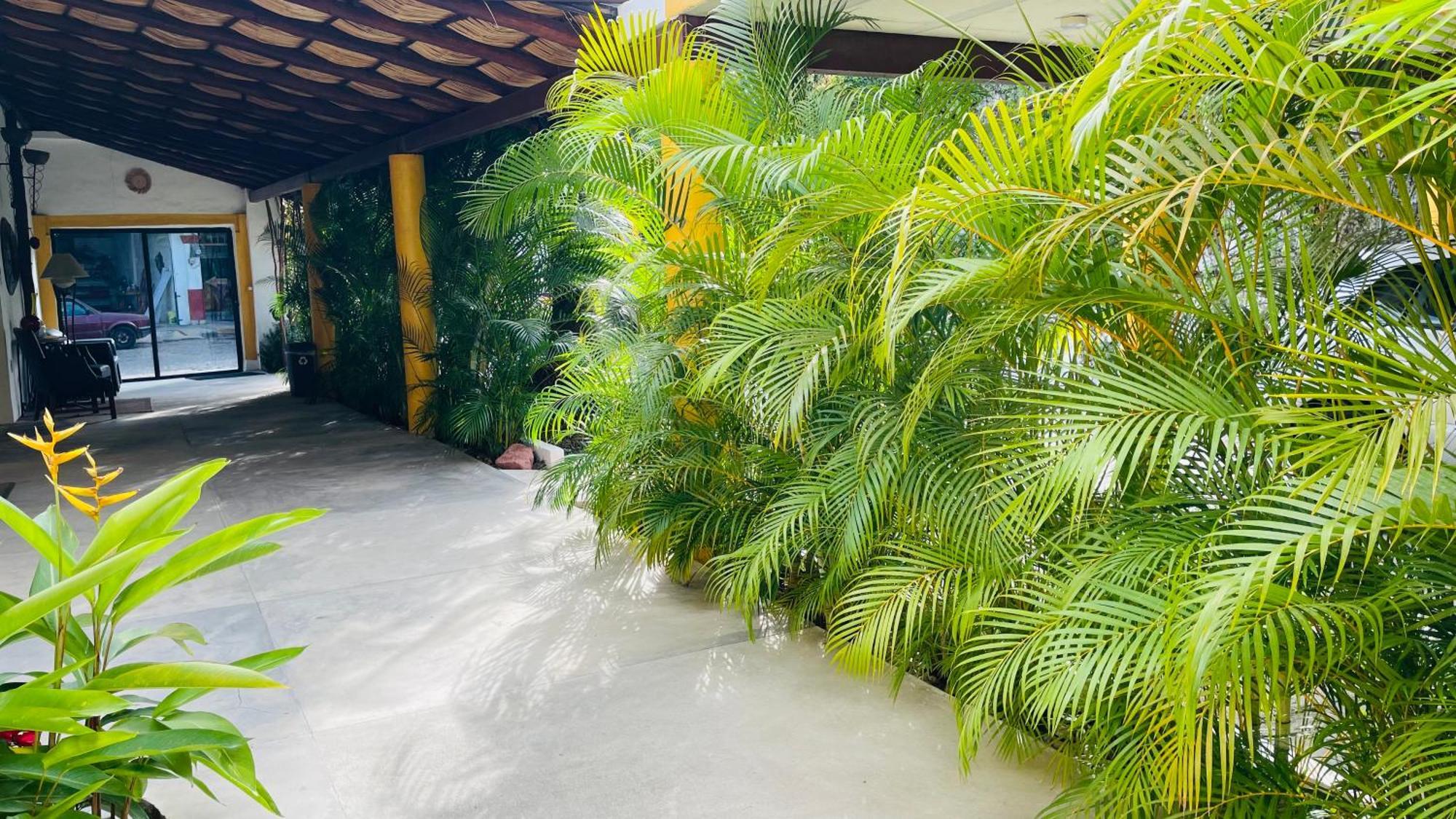 Hotel Boutique Ixaya Puerto Vallarta Extérieur photo